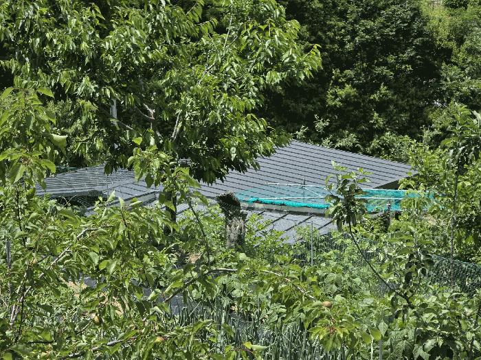 충청북도 충주시 산척면 석천리 367-15 주택 경매 사진 5