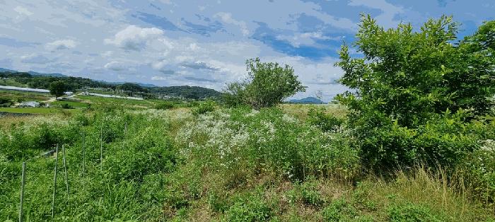충청북도 충주시 전