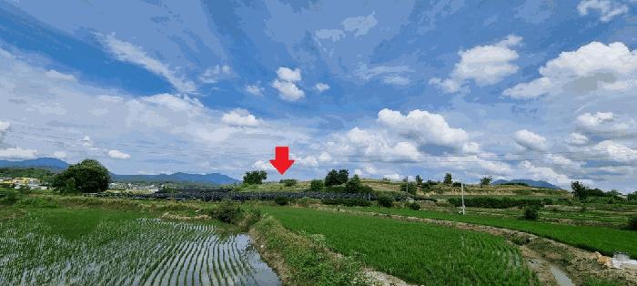 충청북도 충주시 금가면 사암리 154-1 전 경매 사진 2