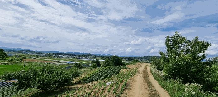 충청북도 충주시 금가면 사암리 154-1 전 경매 사진 4