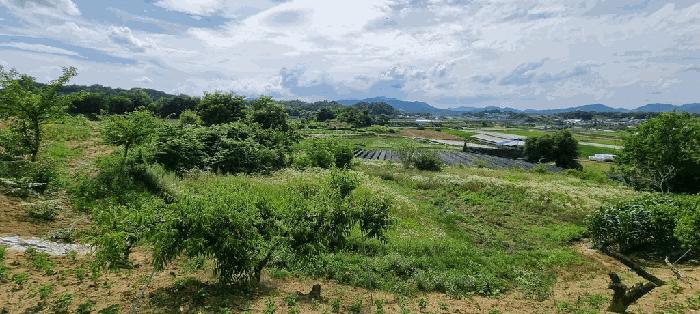 충청북도 충주시 금가면 사암리 154-1 전 경매 사진 7