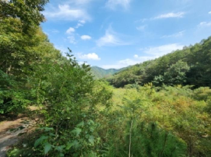 전북특별자치도 진안군 주천면 운봉리 542 임야 경매 사진 29