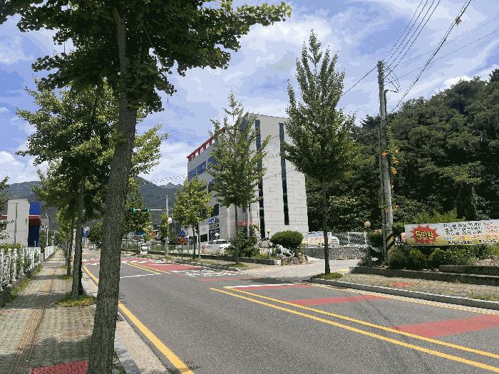 경상남도 창녕군 대지면 용소리 729 과수원 경매 사진 7