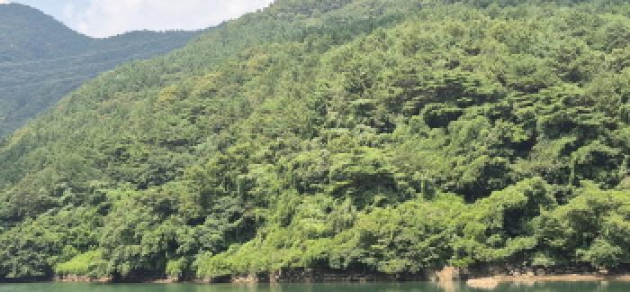 경상남도 고성군 하일면 학림리 1331 임야 경매 사진 31