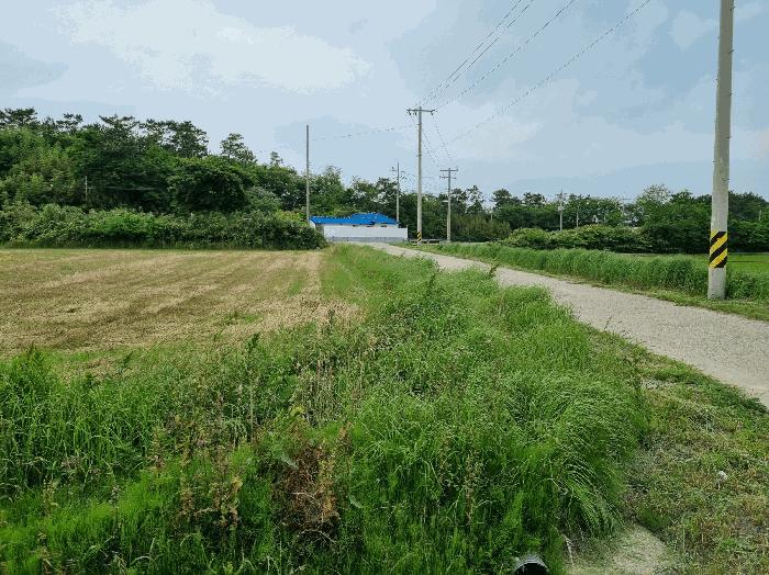 전라남도 신안군 비금면 도고리 545 답 경매 사진 5