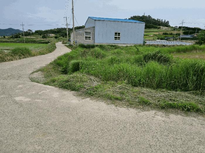 전라남도 신안군 비금면 도고리 545 답 경매 사진 7