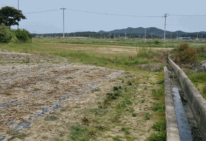 전라남도 신안군 비금면 죽림리 산85 임야 경매 사진 4