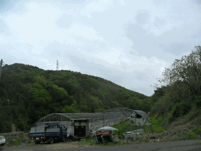 경상북도 포항시 남구 오천읍 갈평리 산88 임야 경매 사진 2