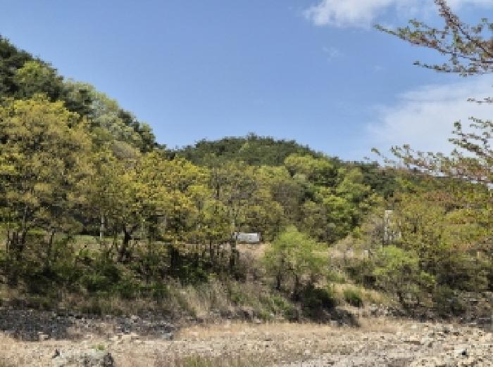 경상북도 포항시 남구 오천읍 문덕리 산159-1 임야 경매 사진 2