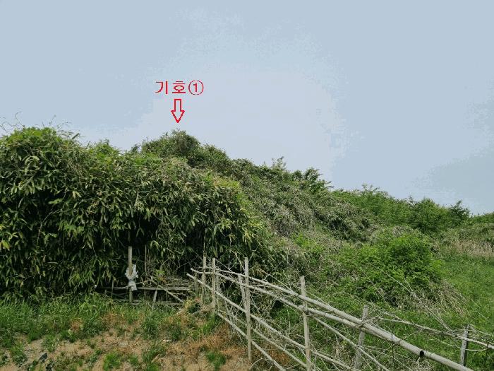 경상북도 포항시 남구 대송면 대각리 산66-8 임야 경매 사진 3