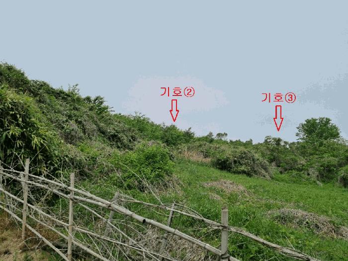 경상북도 포항시 남구 대송면 대각리 산66-8 임야 경매 사진 4