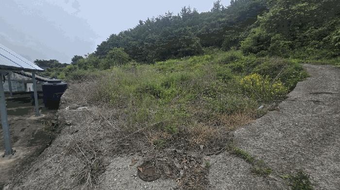 경상남도 남해군 남면 죽전리 1029-3 주택 경매 사진 2
