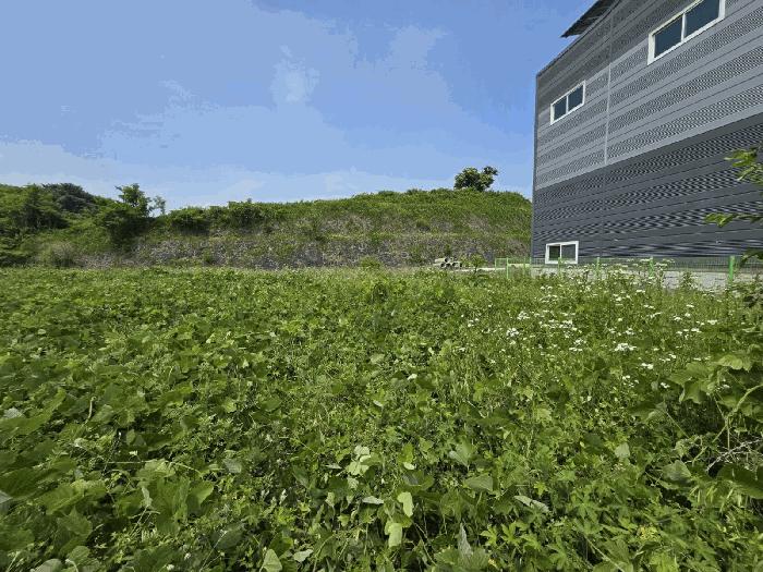 경상남도 사천시 사천읍 두량리 1278-7 임야 경매 사진 3