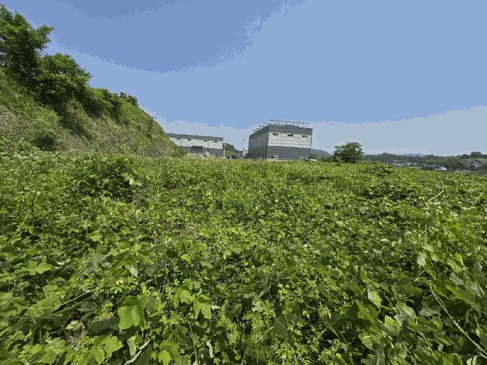 경상남도 사천시 사천읍 두량리 1278-7 임야 경매 사진 4