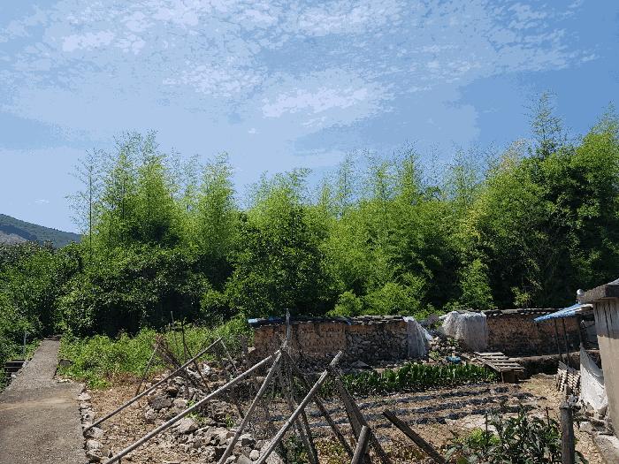 경상남도 하동군 옥종면 양구리 151-1 대지 경매 사진 3