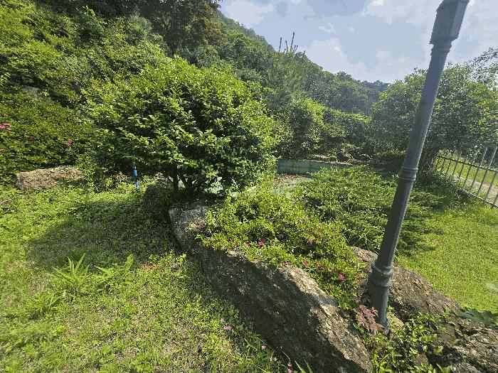 경상남도 하동군 하동읍 흥룡리 655-3 주택 경매 사진 2