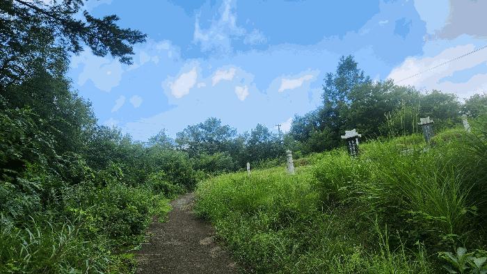 경상남도 산청군 신등면 간공리 산137 임야 경매 사진 5