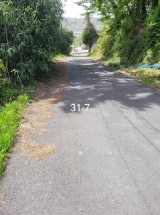 부산광역시 기장군 장안읍 길천리 31-18 임야 경매 사진 23