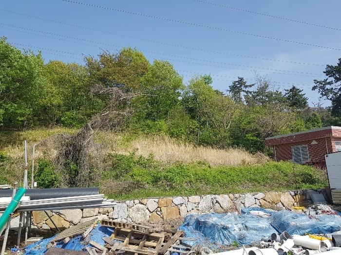 부산광역시 기장군 장안읍 길천리 31-7 도로 경매 사진 11