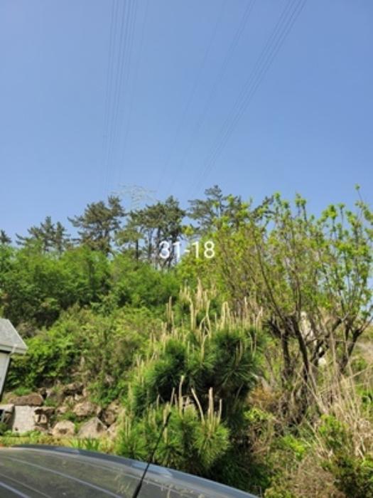 부산광역시 기장군 장안읍 길천리 31-7 도로 경매 사진 22