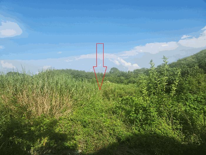 전북특별자치도 부안군 부안읍 연곡리 250 전 경매 사진 3