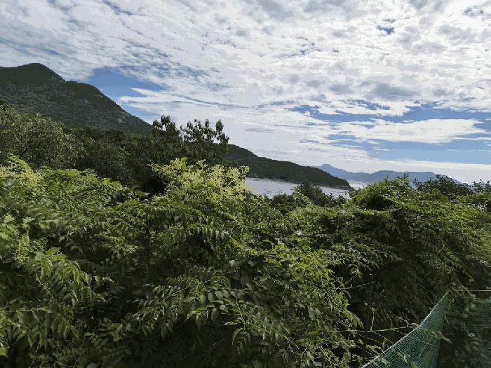 전북특별자치도 부안군 변산면 도청리 97 전 경매 사진 1