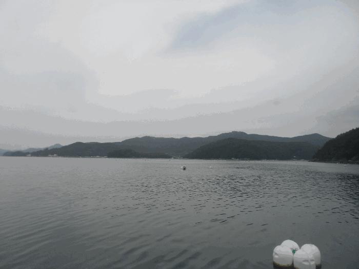 경상남도 통영시 산양읍 풍화리 지선 어업권 경매 사진 1