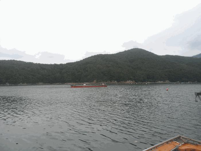 경상남도 통영시 산양읍 풍화리 지선 어업권 경매 사진 2