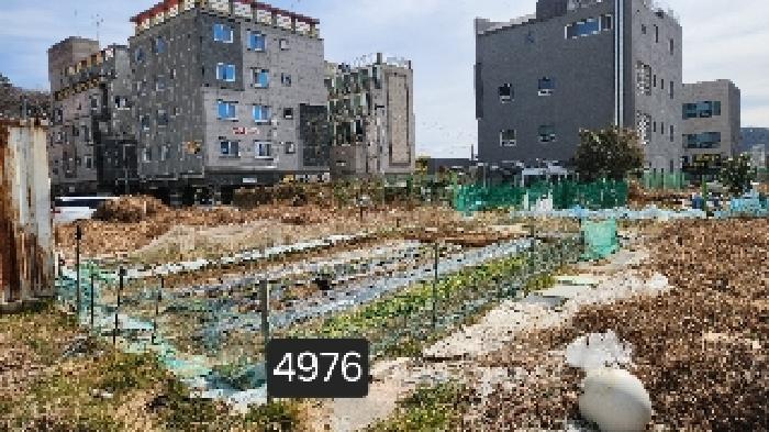 부산광역시 기장군 일광읍 이천리 927-4 대지 경매 사진 6