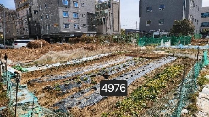 부산광역시 기장군 일광읍 이천리 927-4 대지 경매 사진 7