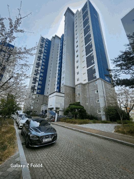 부산광역시 기장군 정관읍 모전리 728 동일스위트3차 305동 16층1603호 아파트 경매 사진 2