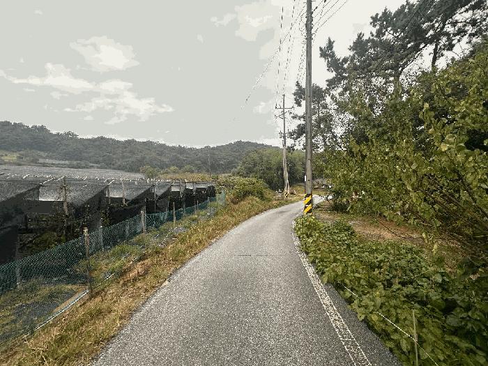 전북 고창군 임야
