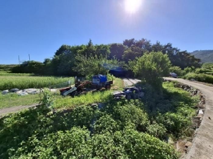 경상남도 남해군 설천면 문의리 731 답 경매 사진 12