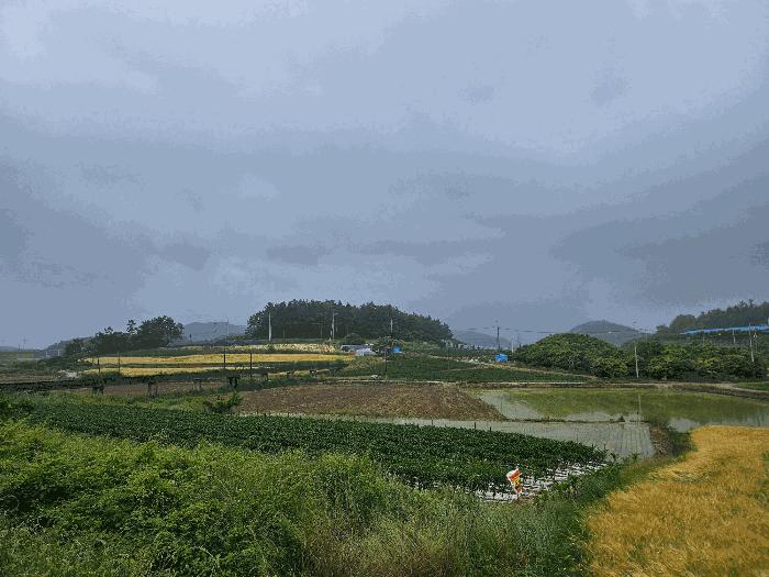 전라남도 해남군 문내면 충평리 88 임야 경매 사진 2