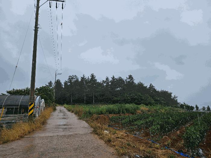 전라남도 해남군 문내면 충평리 88 임야 경매 사진 3