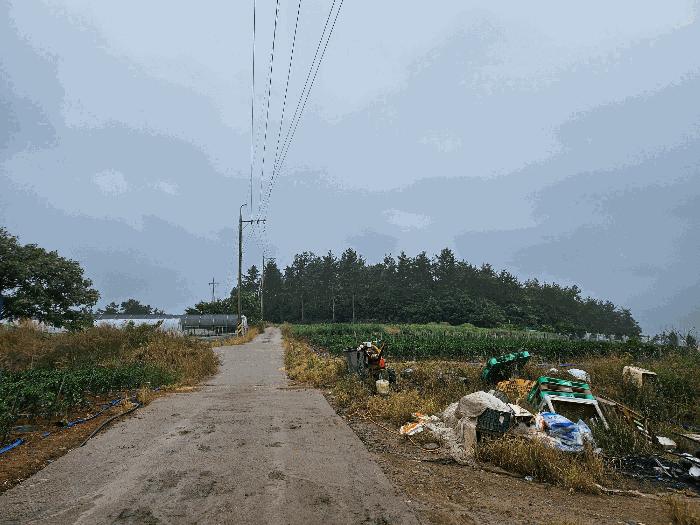 전라남도 해남군 문내면 충평리 88 임야 경매 사진 7