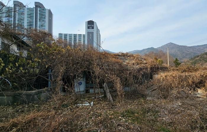 경상남도 거제시 일운면 소동리 산62-17 답 경매 사진 17