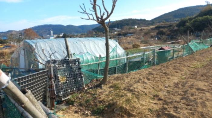 경상남도 거제시 일운면 소동리 산62-17 답 경매 사진 45