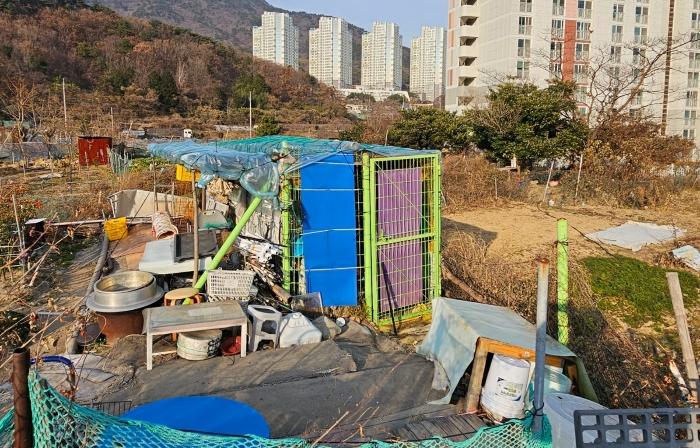 경상남도 거제시 일운면 소동리 산62-17 답 경매 사진 6
