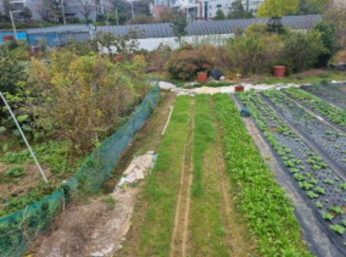 전라남도 여수시 미평동 644-1 답 경매 사진 13