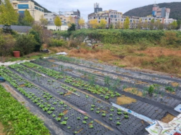전라남도 여수시 미평동 644-1 답 경매 사진 7