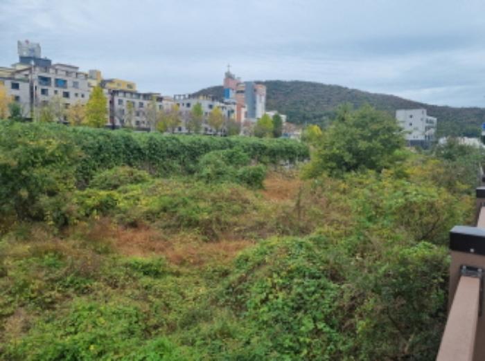 전라남도 여수시 미평동 644-1 답 경매 사진 8
