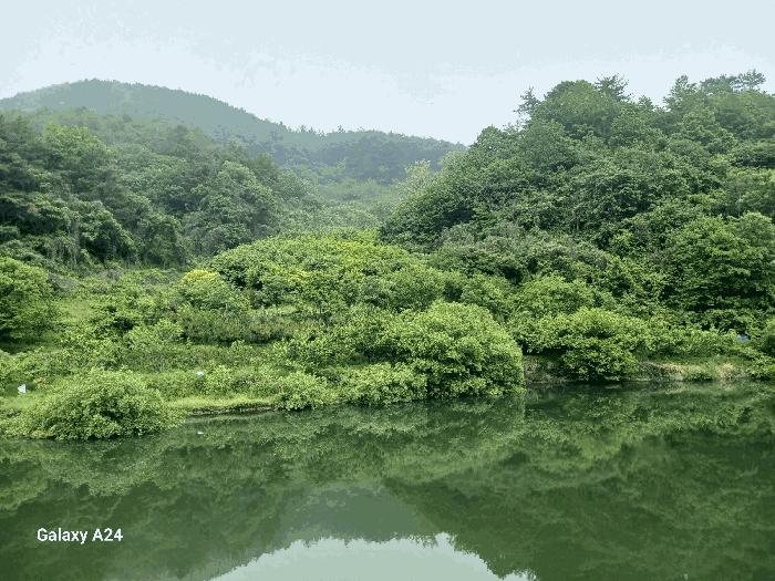 전라남도 광양시 진월면 신아리 산27 임야 경매 사진 11