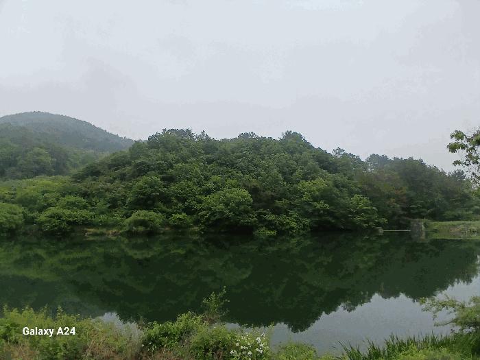전라남도 광양시 진월면 신아리 산27 임야 경매 사진 12