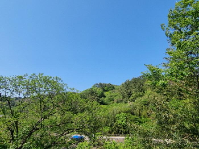 전라남도 광양시 진월면 신아리 산27 임야 경매 사진 16