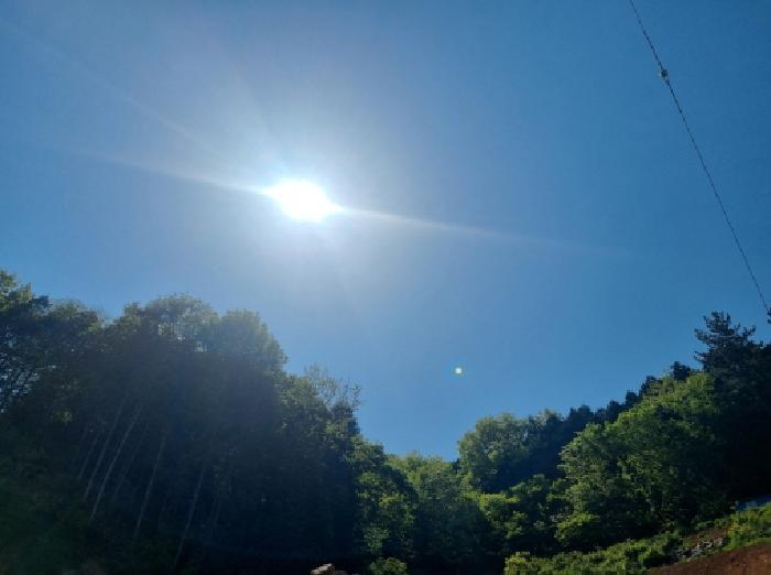전라남도 광양시 진월면 신아리 산27 임야 경매 사진 17