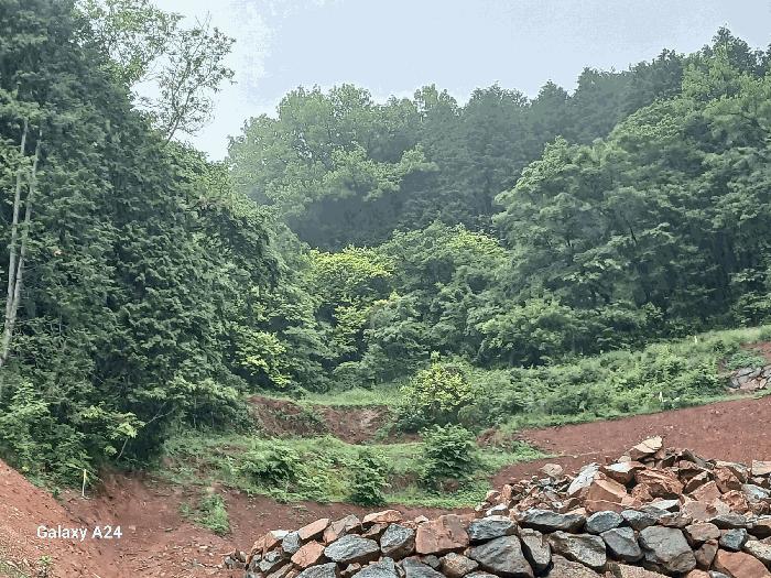 전라남도 광양시 진월면 신아리 산27 임야 경매 사진 4