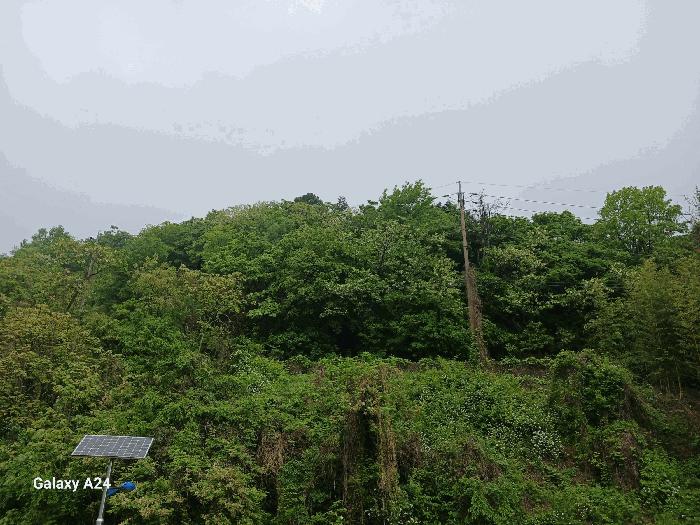 전라남도 광양시 진월면 신아리 산27 임야 경매 사진 5