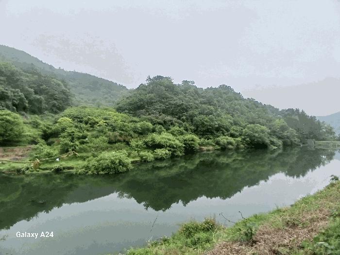 전라남도 광양시 진월면 신아리 산27 임야 경매 사진 7