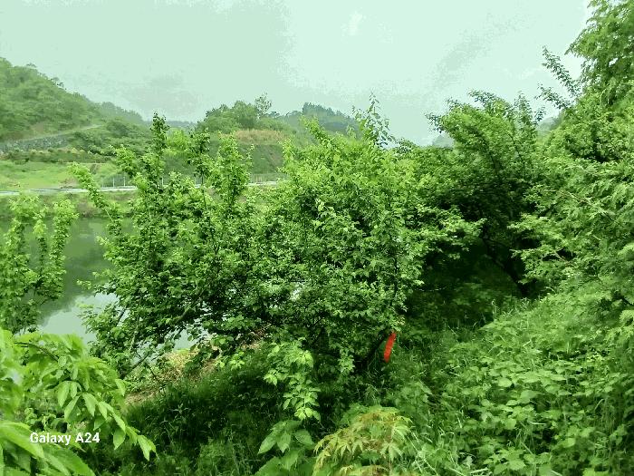 전라남도 광양시 진월면 신아리 22 전 경매 사진 6